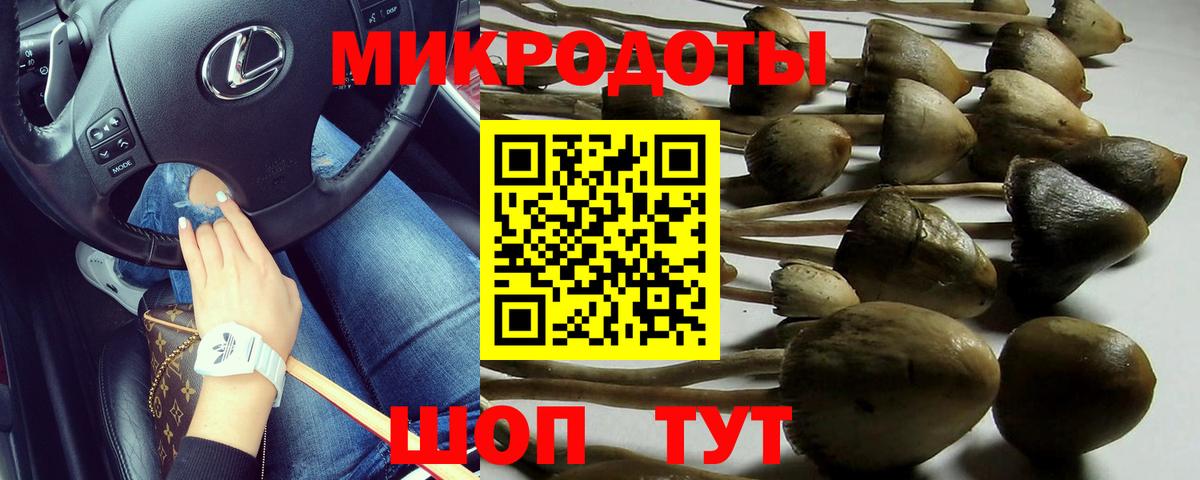 Псилоцибиновые грибы MAGIC MUSHROOMS Гатчина